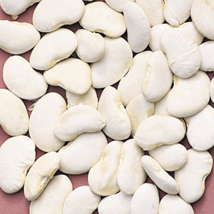 Beans 3kg (one bowl)