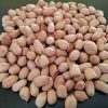 Groundnut: