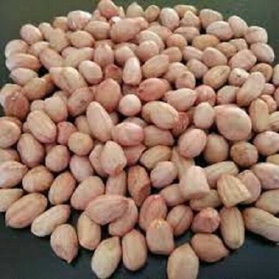Groundnut: