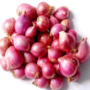 Onion