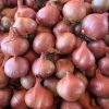Onion
