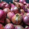 Onion